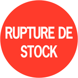 Montre Connectée Enfant KidsRobot Gps 4G